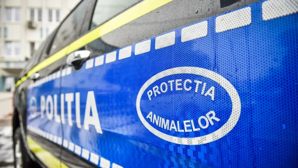 Bărbat anchetat după ce a aruncat o pisică de la etaj